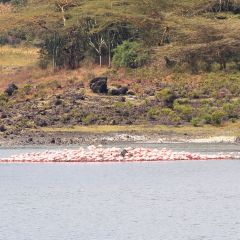 tansania_013