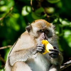 thailand_009
