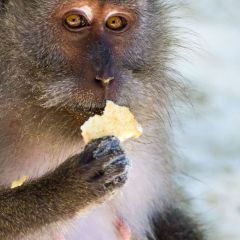 thailand_011