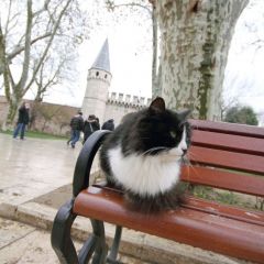 istanbul_005