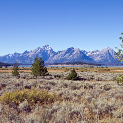 rockies_017