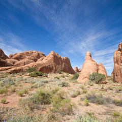 rockies_031