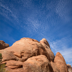 rockies_032