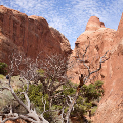 rockies_033