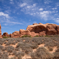 rockies_036