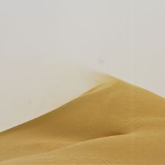 vae_015