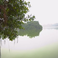 vietnam_004