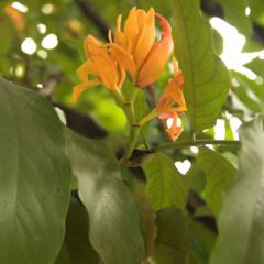 vietnam_008