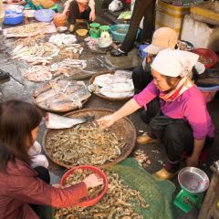 vietnam_013