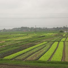 vietnam_020