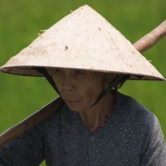 vietnam_045